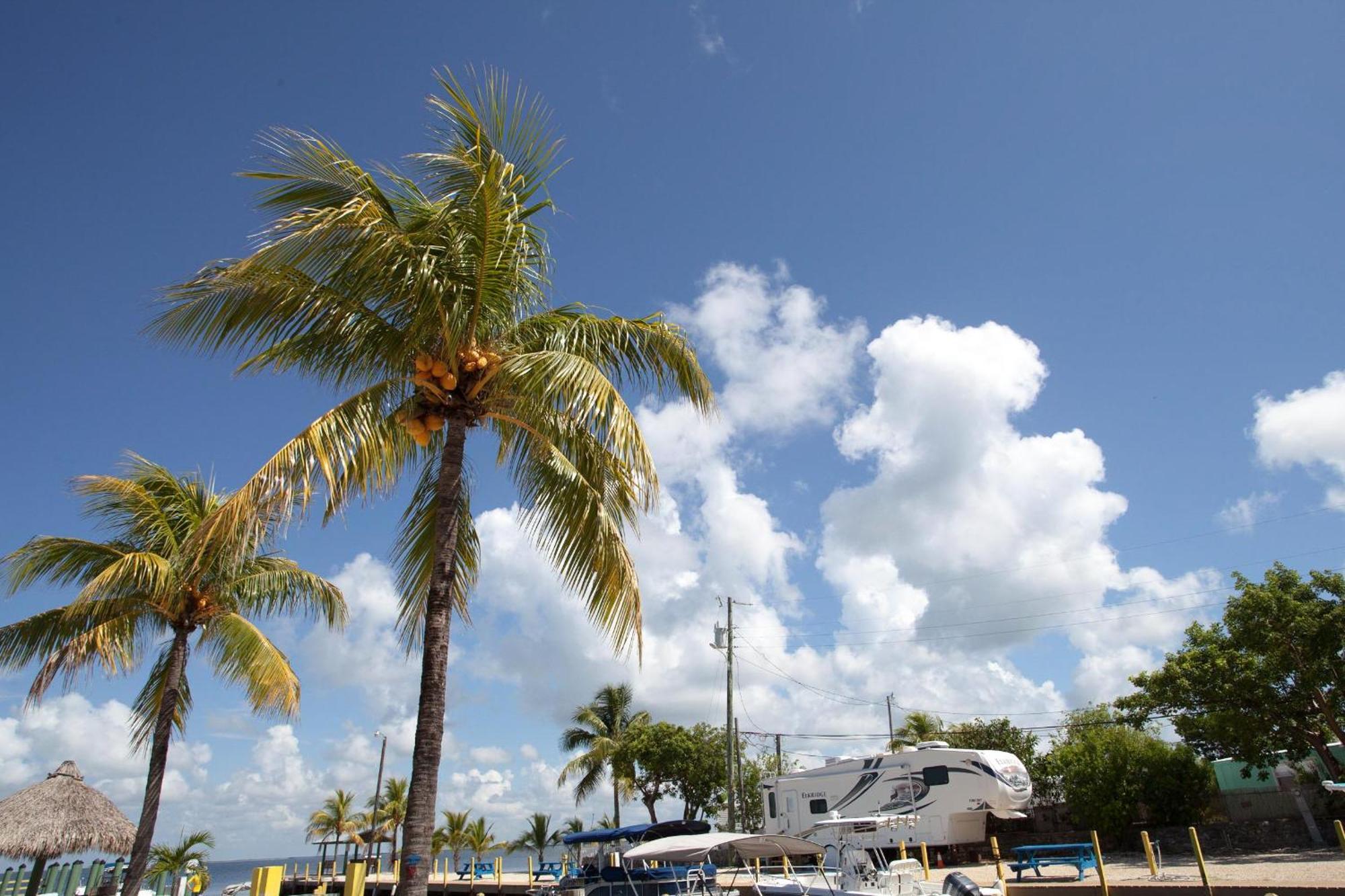Hotel Kings Kamp Key Largo Zewnętrze zdjęcie